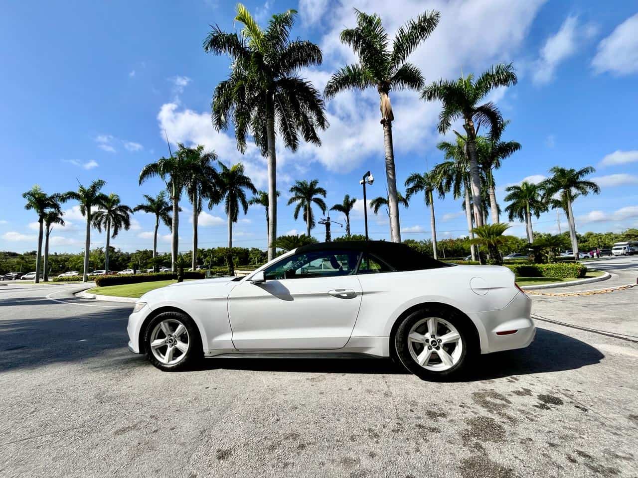 Mustang White convertible 3.7L 2015