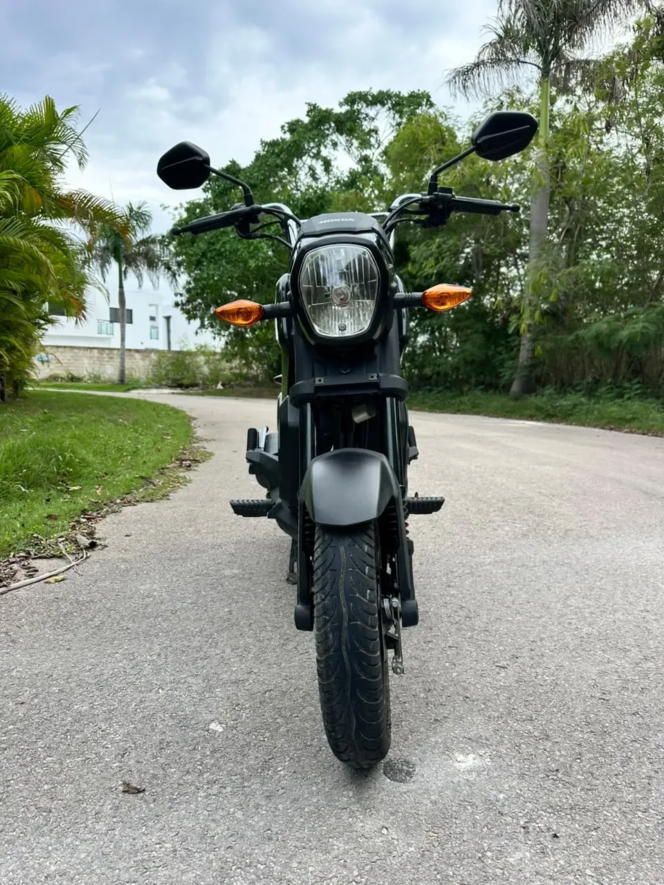 Honda Navi