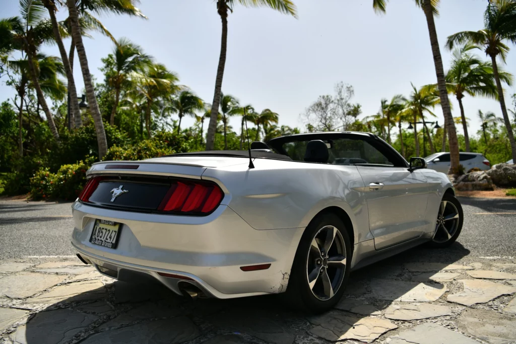 Ford Mustang silver